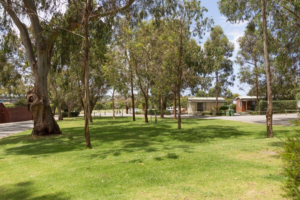 A bush camp feel close to a trendy brewery. Best of both worlds