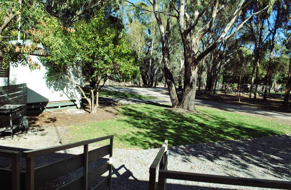 Sheltered camping and cabin accommodation near the Murray River at Barham Lakes Caravan Park