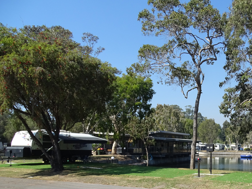 Greener pastures at BIG4 Tweed Billabong Holiday Park 