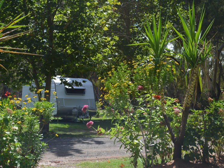 Darlington Point Riverside Caravan Park Darlington Point Riverside Tourist Park