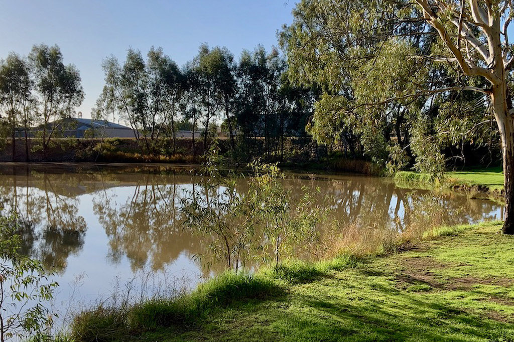 Water views at the Kerang Caravan & Tourist Park