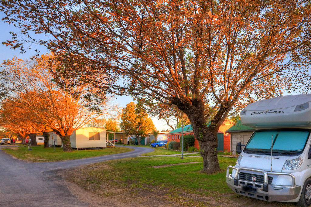 Autumn blush at Lake Anderson Caravan Park