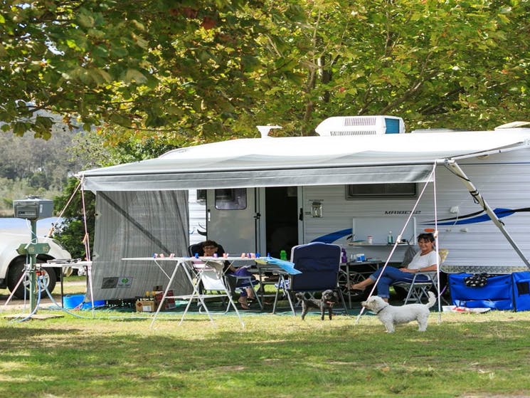 Large shaded campsites at the Reflections Eden Holiday Park