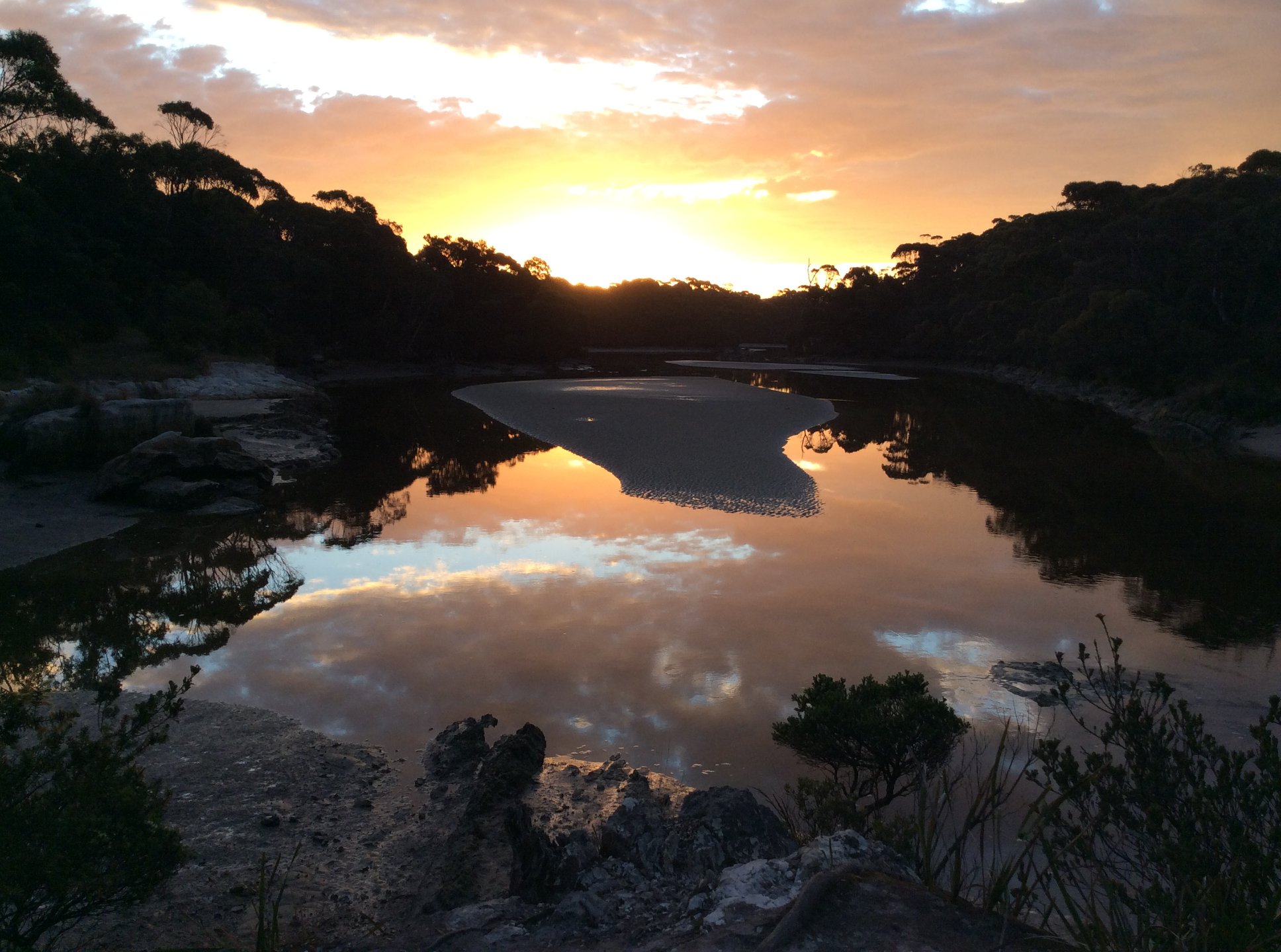 low tide at crayfish creek van park and cabin park