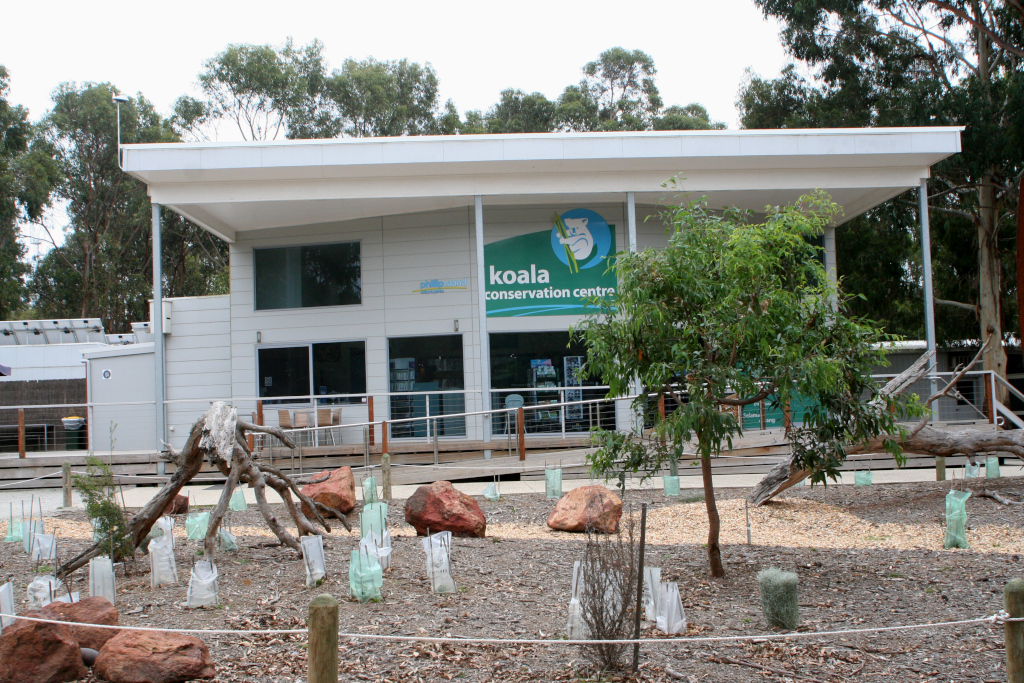 Phillip Island Koala Centre