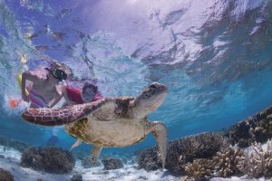 Swimming with turtles in the Southern Great Barrier Reef