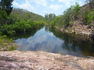 Parks NT sought 4WD NT's advice on accessing gorges and springs in the in the Litchfield Central Valley