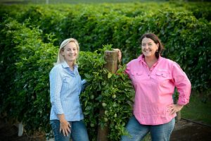 Suzie Clarke Bundy Food Tours chats to Tinaberries