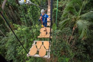 Onsite TreeTop Challenge's big nod to the Big Pineapple