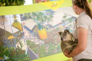 range from Wildlife HQ holds a koala while viewing Big Pineapple's renewal plans