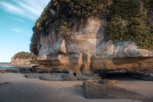 West of Wynyard, Fossil Bluff is a sandstone bluff with layers of fossils embedded in the sandstone.