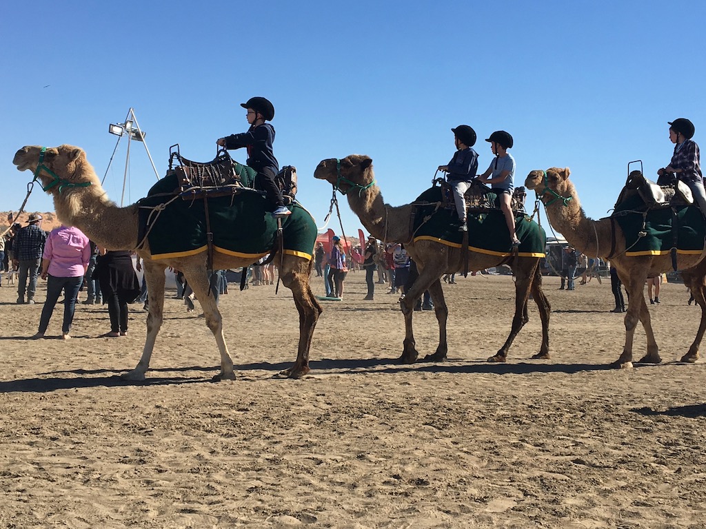 Big Red Bash Camel Rides